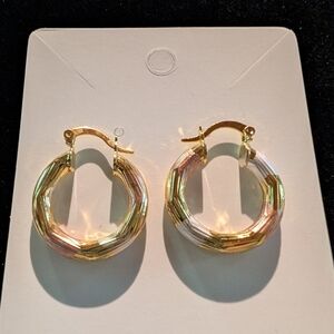 Elegant Gold, Rose Gold and  Silver Colored Hoop Earrings